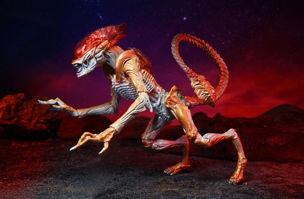 Aliens Panther Alien