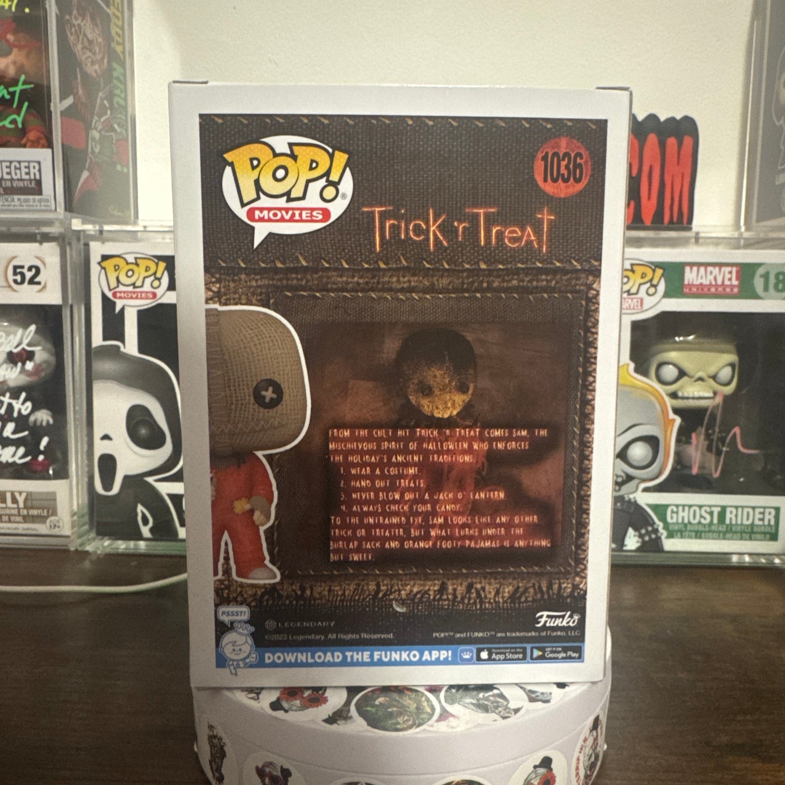 Sam #1036 Trick r Treat Flocked