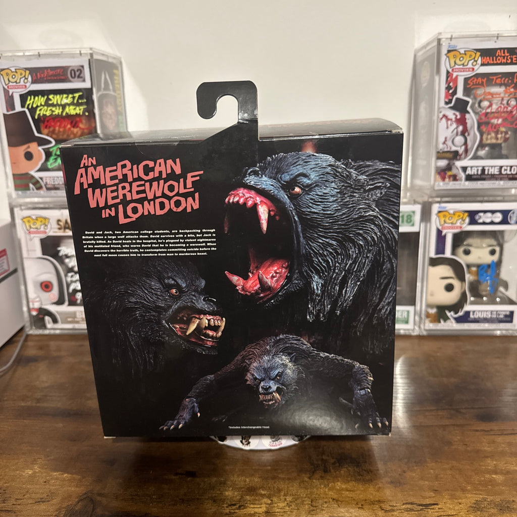 Ultimate Kessler Wolf An American Werewolf In London (PL)