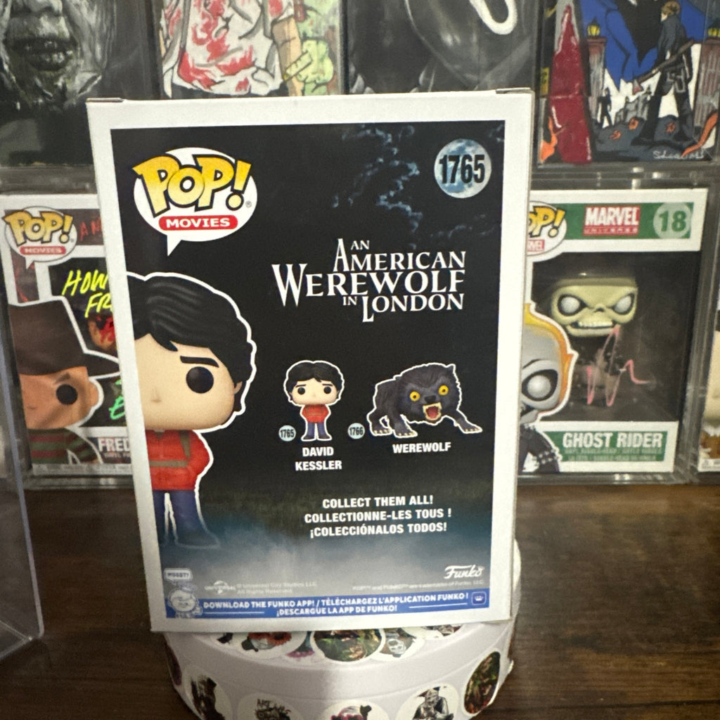 Signed David Naughton David Kessler #1765 An American Werewolf In London 7BAP 60 PCS